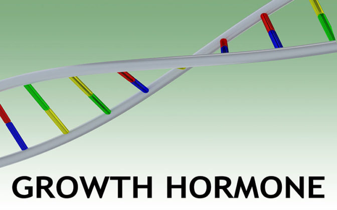 Function of HGH