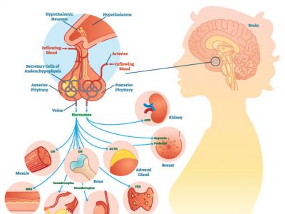 What Is Growth Hormone Replacement Therapy?