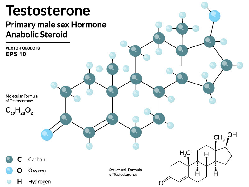 Testosterone Vital to Peak Performance at Any Age