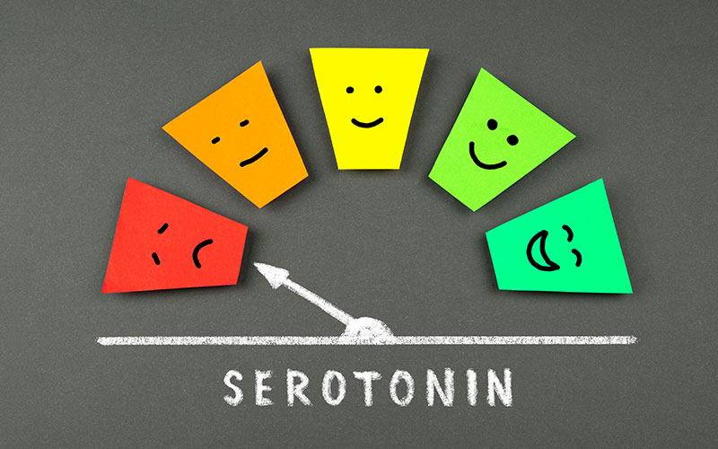 Testosterone and Serotonin